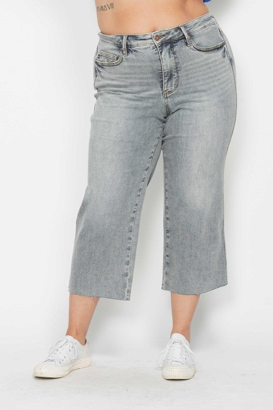 Stonewash Judy Blue Tummy Control Jeans