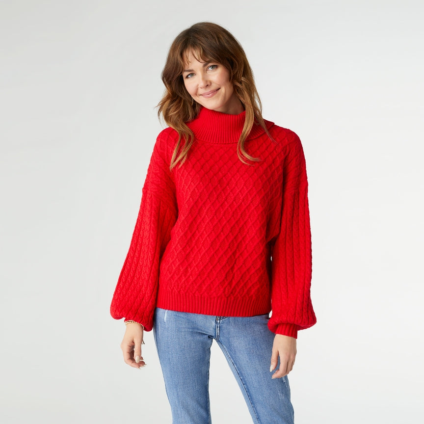 Holly Knit Turtleneck Sweater