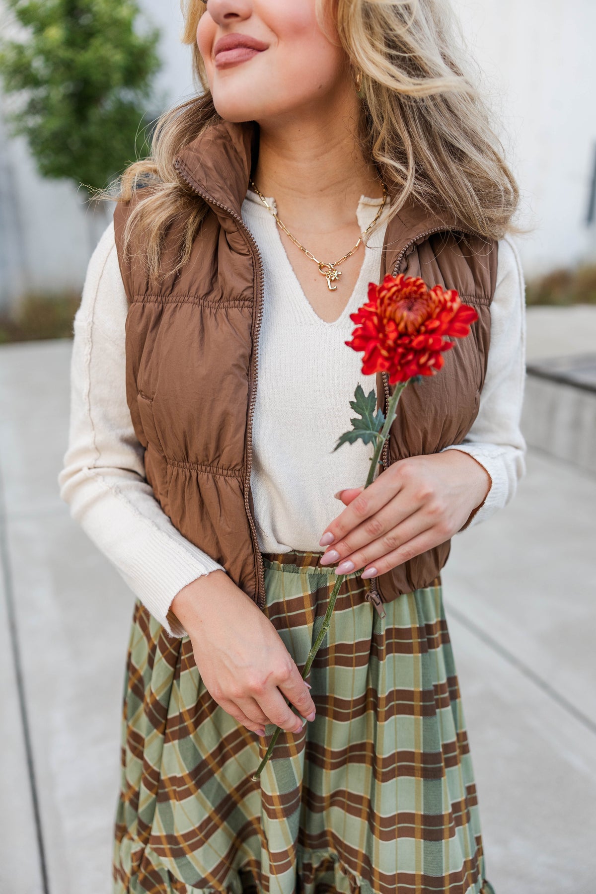 Maeve Cropped Puffer Vest in Brown