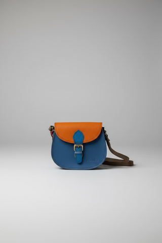 Ally Multicolor Crossbody Purse