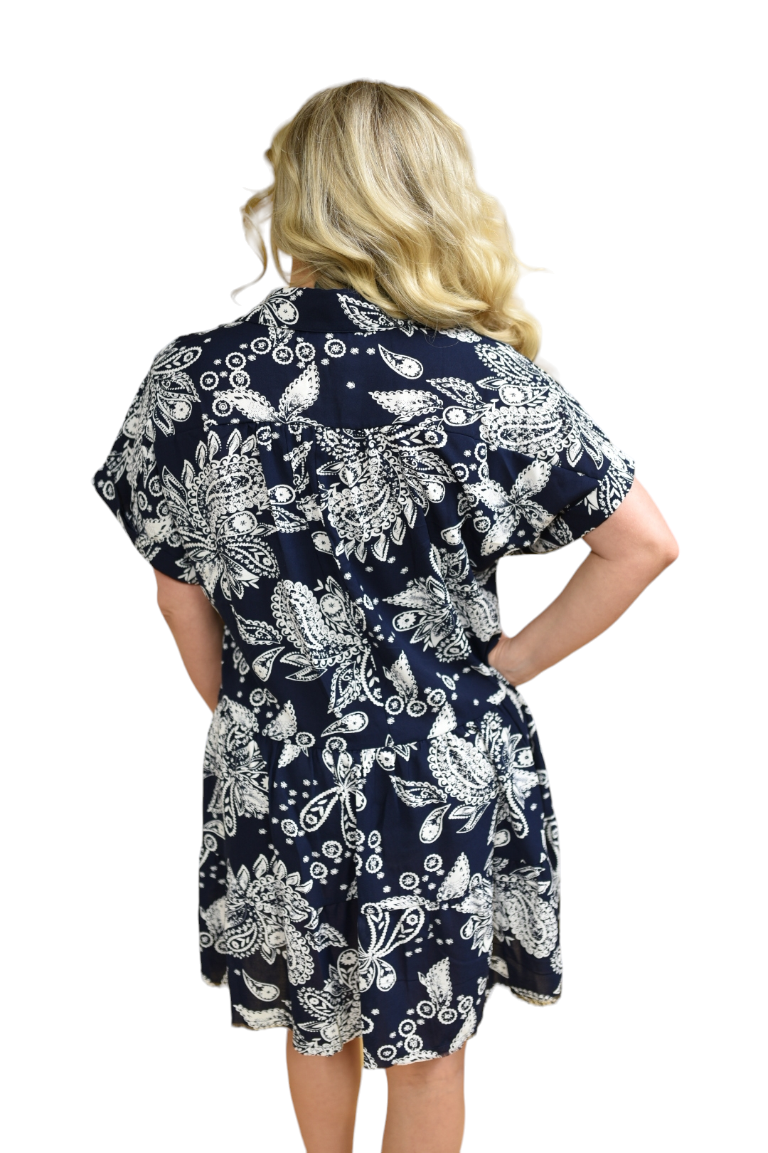 High Tide Tiered Paisley Dress