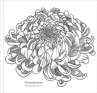 Spring Blooms Artist's Coloring Book