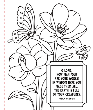 Psalms Large Print Coloring Book - Shop Rust & Ruffles
