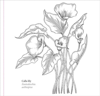 Spring Blooms Artist's Coloring Book - Shop Rust & Ruffles