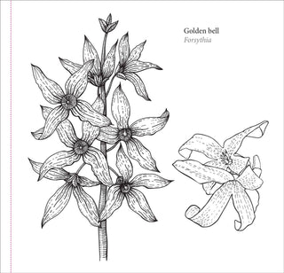 Spring Blooms Artist's Coloring Book - Shop Rust & Ruffles
