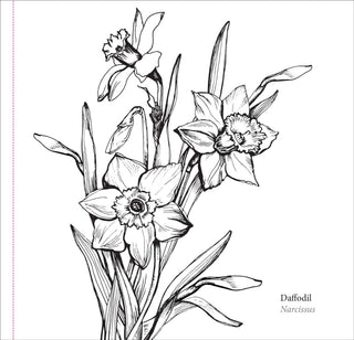 Spring Blooms Artist's Coloring Book - Shop Rust & Ruffles